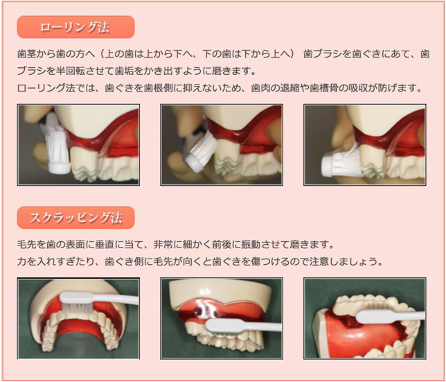 c)磨き方