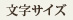 文字サイズ